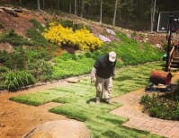 image description not provided by submitter