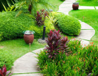 image description not provided by submitter