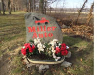 image description not provided by submitter