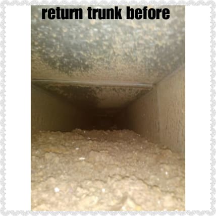 image description not provided by submitter