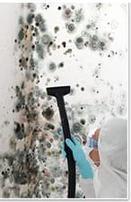 image description not provided by submitter