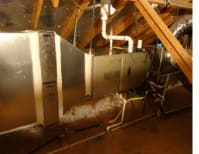 image description not provided by submitter