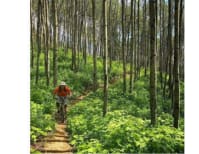 image description not provided by submitter