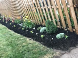 image description not provided by submitter