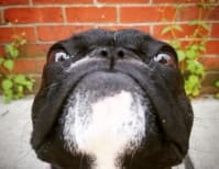 image description not provided by submitter