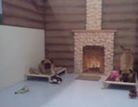 image description not provided by submitter