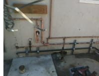 image description not provided by submitter