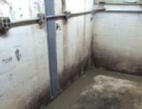 image description not provided by submitter