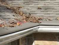 image description not provided by submitter