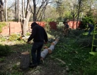 image description not provided by submitter