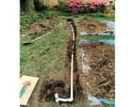 image description not provided by submitter