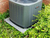 image description not provided by submitter