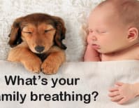 image description not provided by submitter