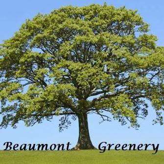 Beaumont Greenery Better Business Bureau Profile