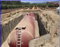 image description not provided by submitter