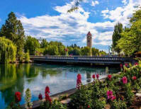 image description not provided by submitter