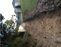 image description not provided by submitter