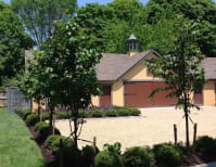 image description not provided by submitter