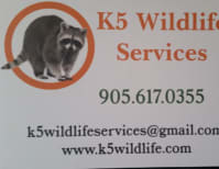 image description not provided by submitter