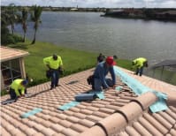 image description not provided by submitter