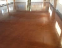 image description not provided by submitter