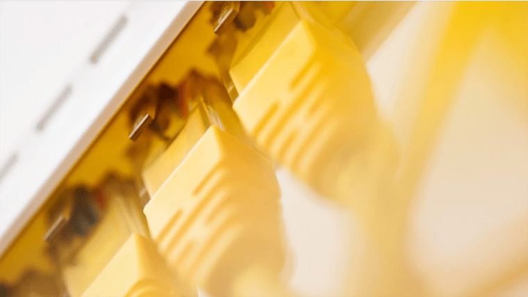 image description not provided by submitter