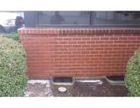 image description not provided by submitter