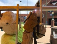 image description not provided by submitter