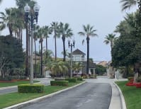 image description not provided by submitter