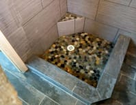 image description not provided by submitter