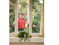 image description not provided by submitter