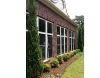 image description not provided by submitter