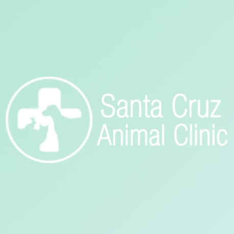 Santa Cruz Animal Clinic Inc. Better Business Bureau Profile