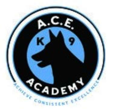 The k9 fashion academy