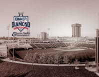 image description not provided by submitter