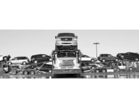 image description not provided by submitter