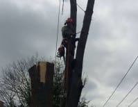 image description not provided by submitter