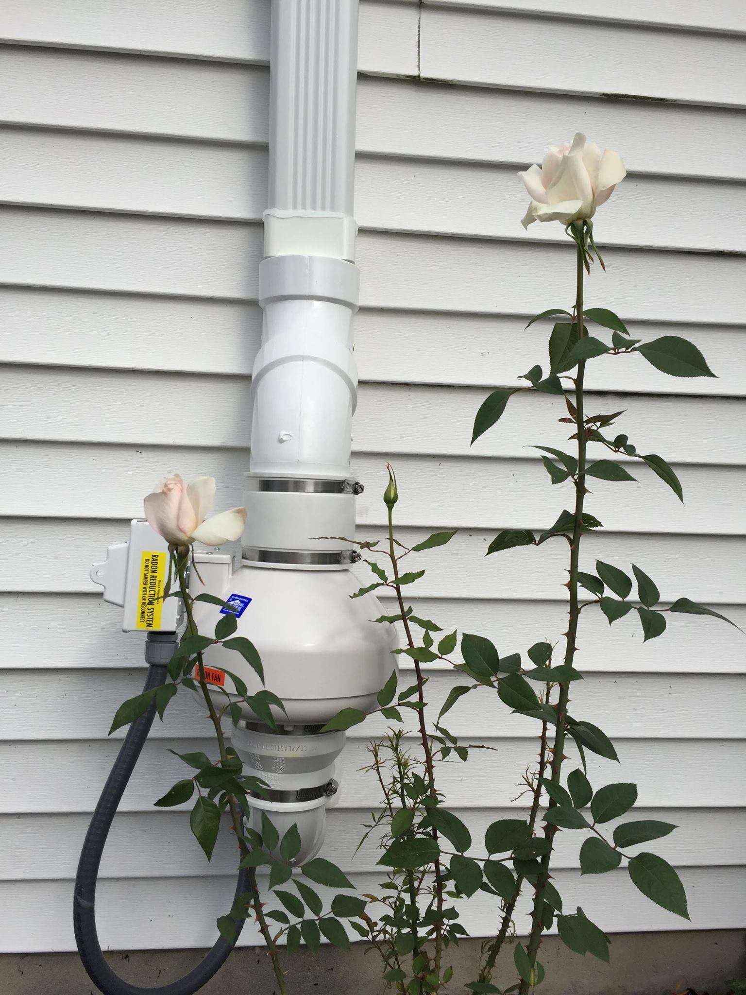 Radon Mitigation - Trinity Electrical Services, Inc.