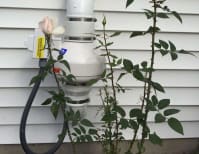 image description not provided by submitter