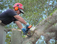 image description not provided by submitter