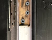 image description not provided by submitter