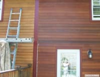 image description not provided by submitter