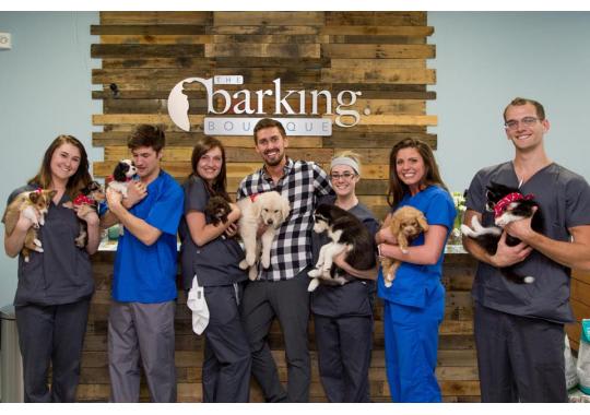 The Barking Boutique LLC Better Business Bureau Profile