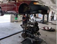 image description not provided by submitter