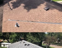 image description not provided by submitter