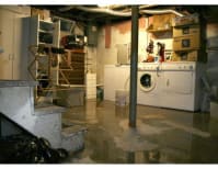 image description not provided by submitter