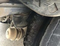 image description not provided by submitter