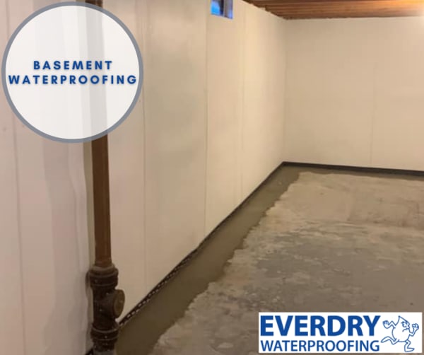 Everdry Waterproofing of S.E. Michigan Reviews, Ratings