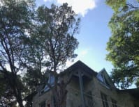 image description not provided by submitter