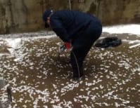 image description not provided by submitter